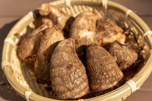 里芋はホットクックで「丸ごとゆでる」のが正解だった-皮むきがラクで味も濃い！-の画像